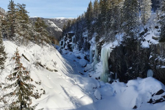 d30183c1-b3fe-4115-a4a1-71ec782e3d78